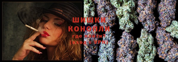 крисы Белокуриха