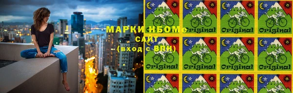 крисы Белокуриха
