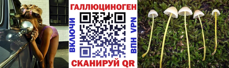 Галлюциногенные грибы MAGIC MUSHROOMS  где продают наркотики  Кушва 